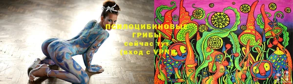 MESCALINE Осинники