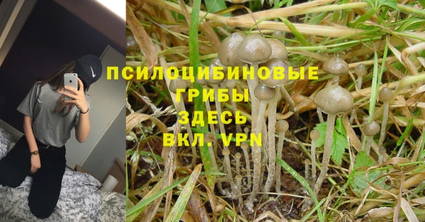 тгк Осташков