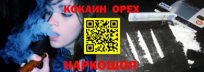 гидра Гатчина