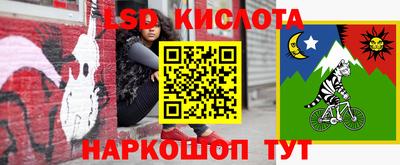 ешки Гай