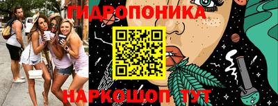 ешки Гай