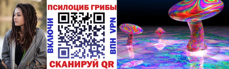 купить  цена  KRAKEN рабочий сайт  Псилоцибиновые грибы MAGIC MUSHROOMS  площадка какой сайт  Хабаровск 