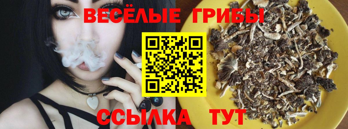 Псилоцибиновые грибы Magic Shrooms  закладка  Хабаровск  Вход с VPN 