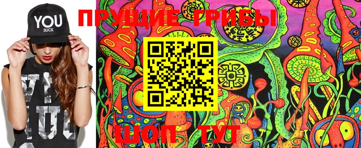 Псилоцибиновые грибы прущие грибы Хабаровск